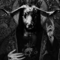 Baphomgoat