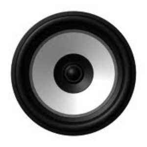 bass101