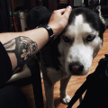 BBBERT