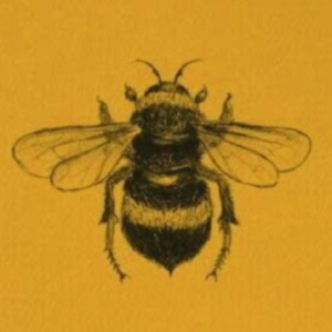bbee