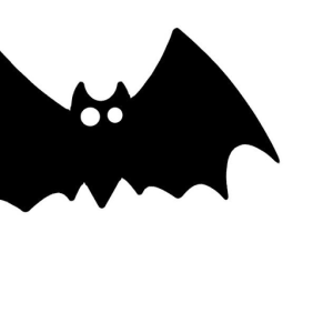 BBitS