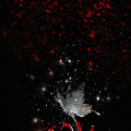 Arcane