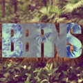 bbrns