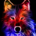 bburton06_studentwps_org