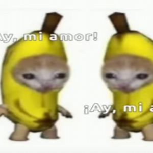 Beaf