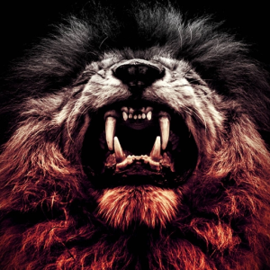 BeastModeMusic