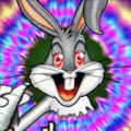 Beat-Bunny