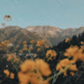 beckykeomany_gmail_com