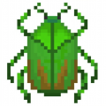 Beetle85