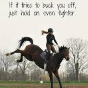 Horse lover