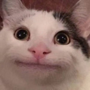 Beluga :3