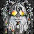 benji64