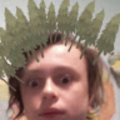 bennetttim811_gmail_com
