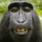 betzd21_stpatlou_org