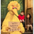 big_bird