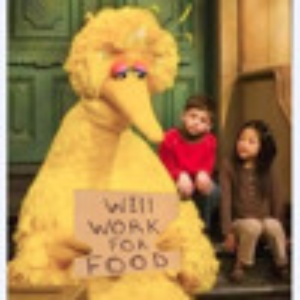 big_bird