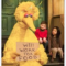 big_bird