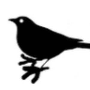 bigtowedfinch