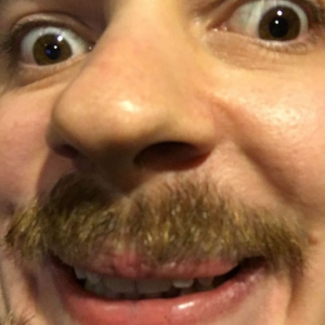 bingodapig