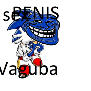 Bingus_Swaggus