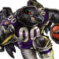 Black_bear