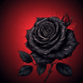 BlackRose18