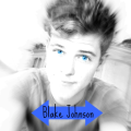 blake.johnson