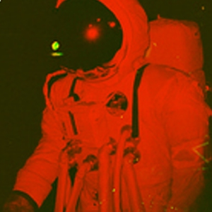 blankvision