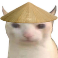 blo0m
