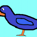 Bluducks