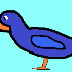 Bluducks
