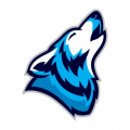 Bluewolf1300