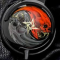 bo39ful