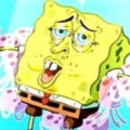 bob27