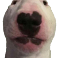 boebyon