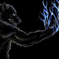 bosswolfmaster