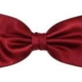 bowtiesarecool12