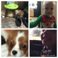 braden_gutweiler
