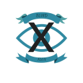BLIND FLUX