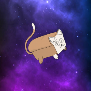 BreadCat