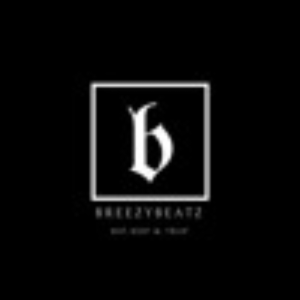 BreezyBeatzonthetrack