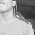 bryant_salto