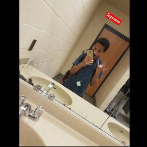 Brysonthesav