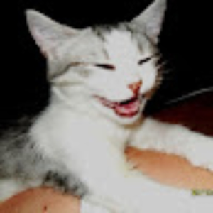 bss