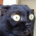 bubummm0_gmail_com