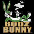 budzbunNy23
