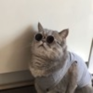 bugogh