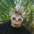 bull_null