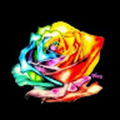 bvrnee1009_gmail_com