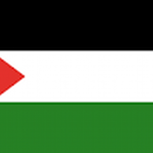 palestinium_ (alt)